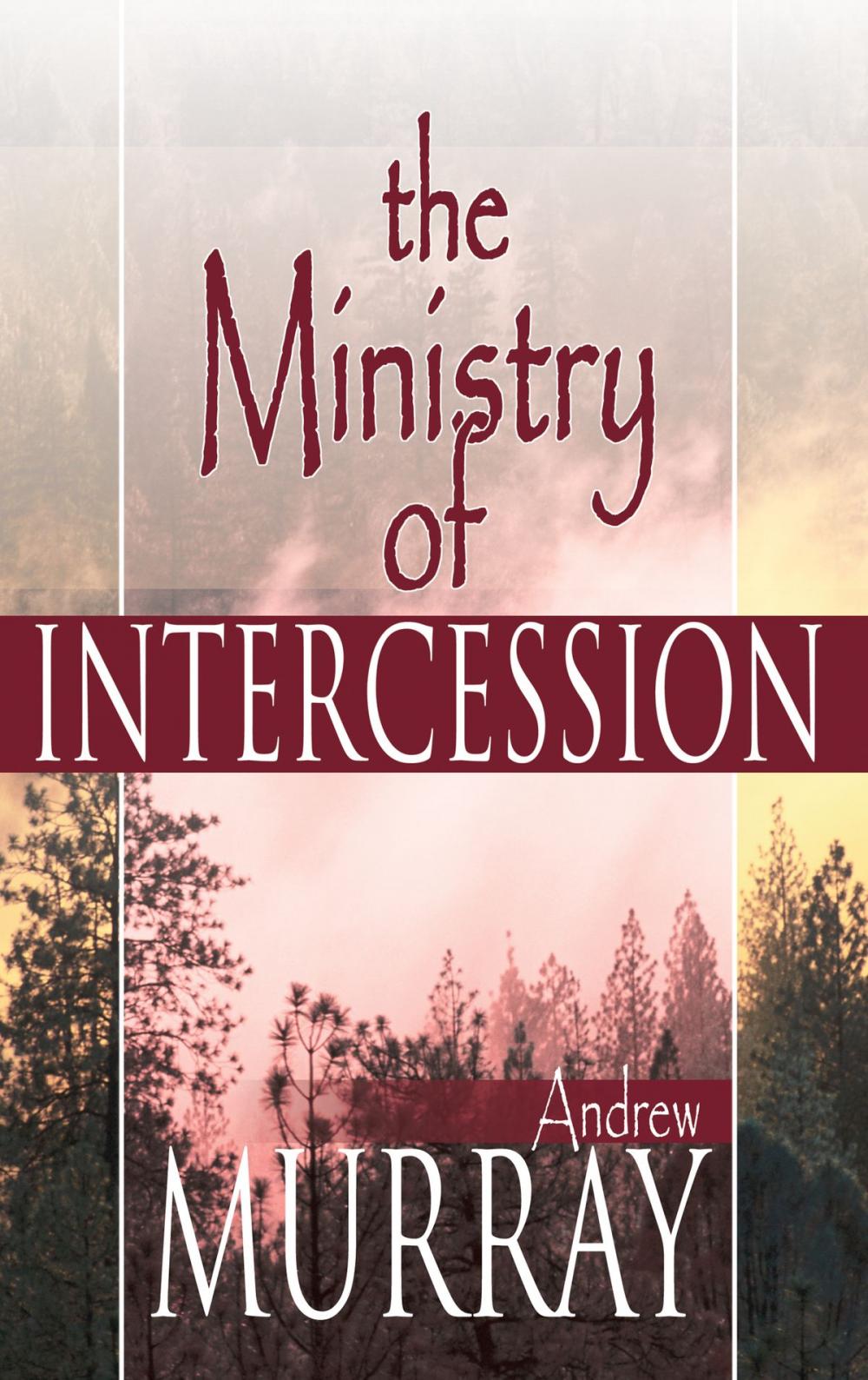 Big bigCover of The Ministry of Intercession