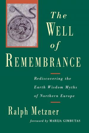 Cover of the book The Well of Remembrance by 