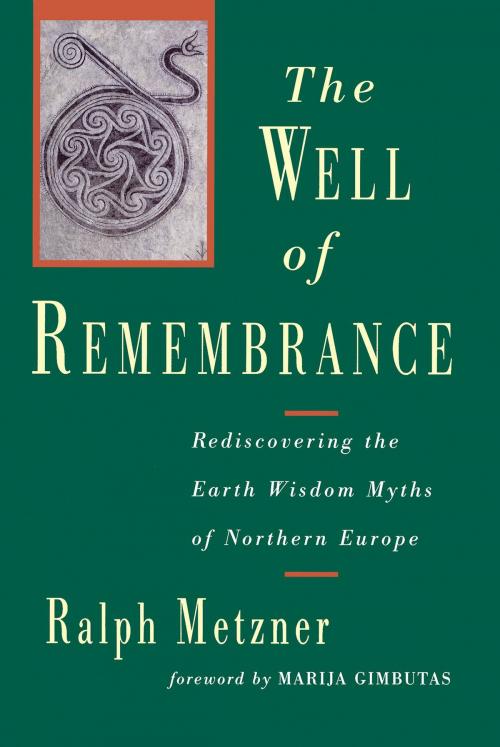 Cover of the book The Well of Remembrance by Ralph Metzner, Shambhala