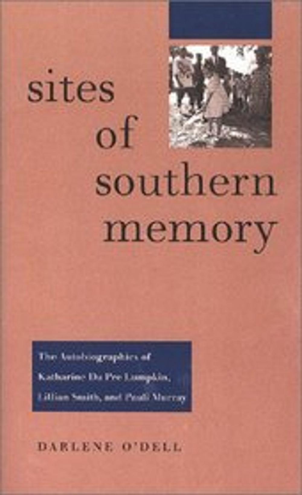 Big bigCover of Sites of Southern Memory