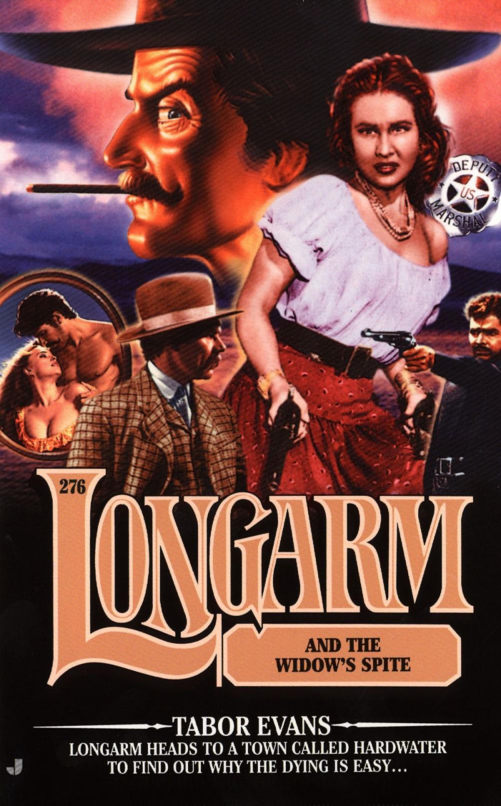 Big bigCover of Longarm #276: Longarm and the Denver Executioners