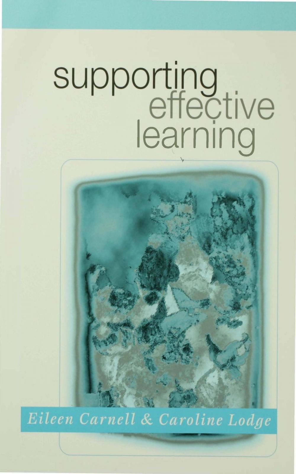 Big bigCover of Supporting Effective Learning