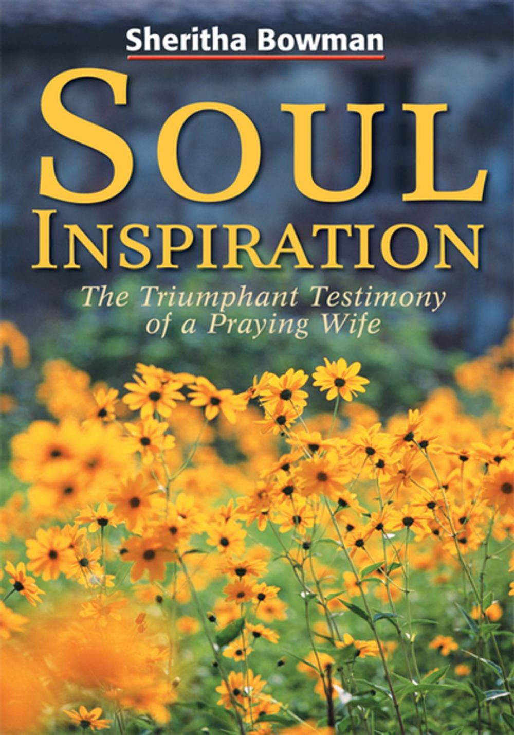 Big bigCover of Soul Inspiration