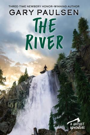 Cover of the book The River by Edie Evans