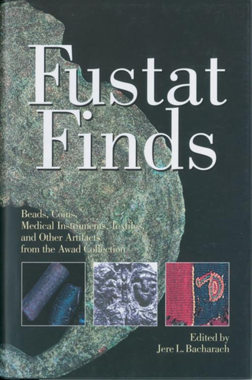 Cover of the book Fustat Finds by , The American University in Cairo Press