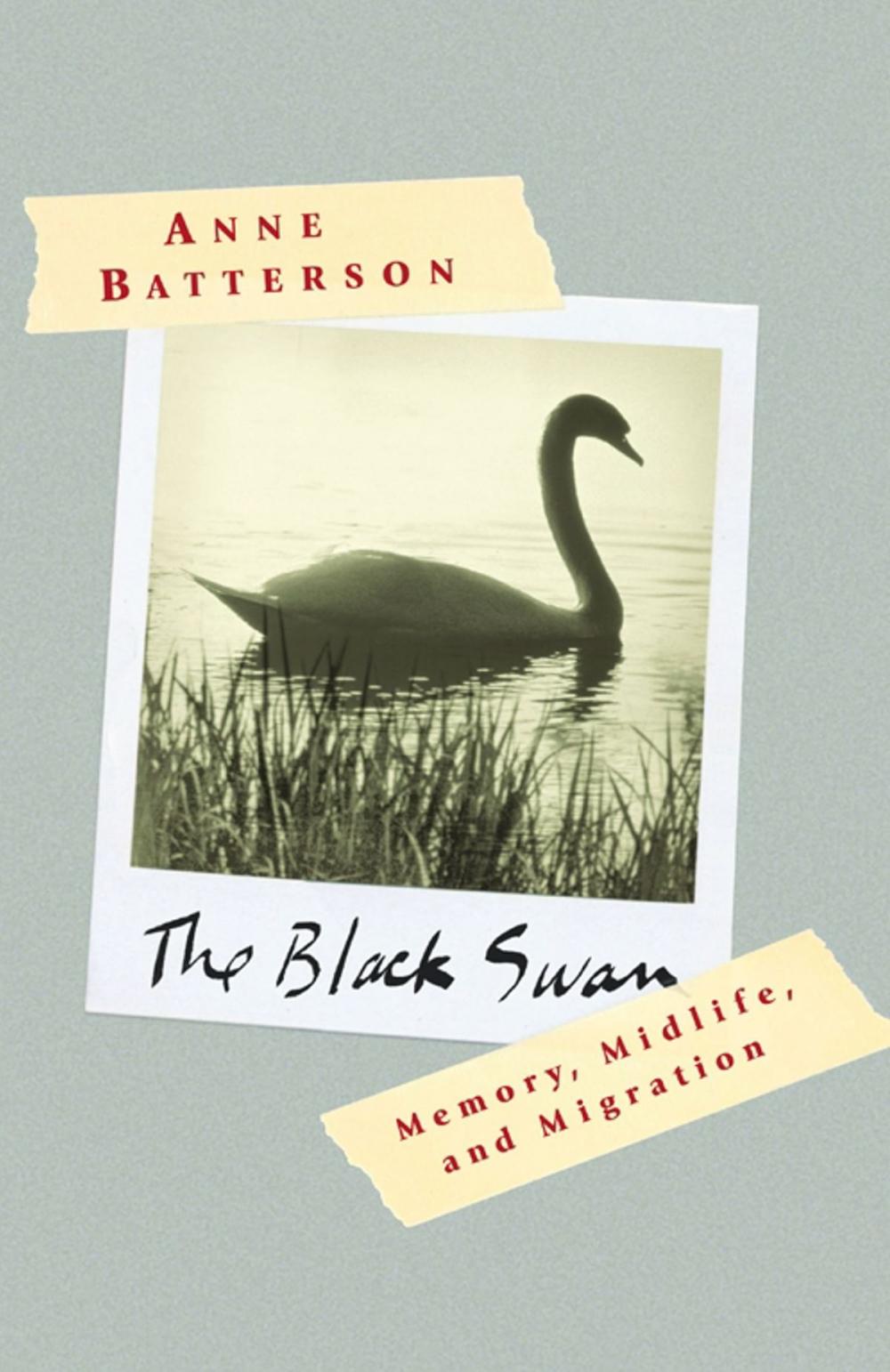 Big bigCover of The Black Swan