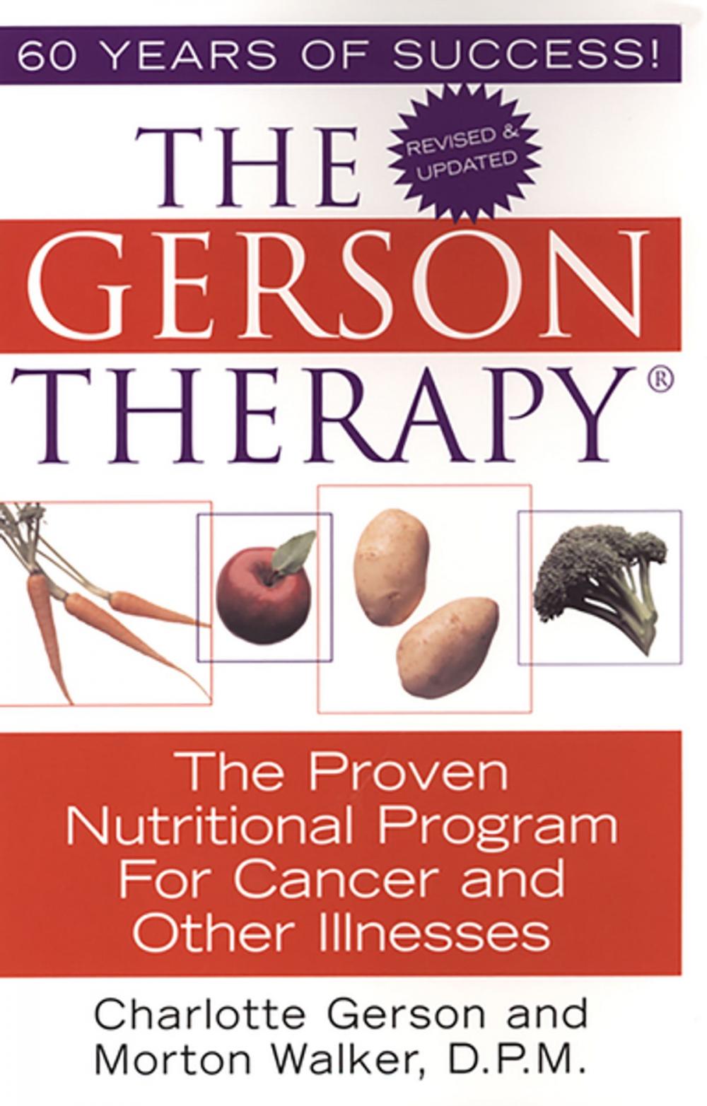 Big bigCover of The Gerson Therapy -- Revised And Updated