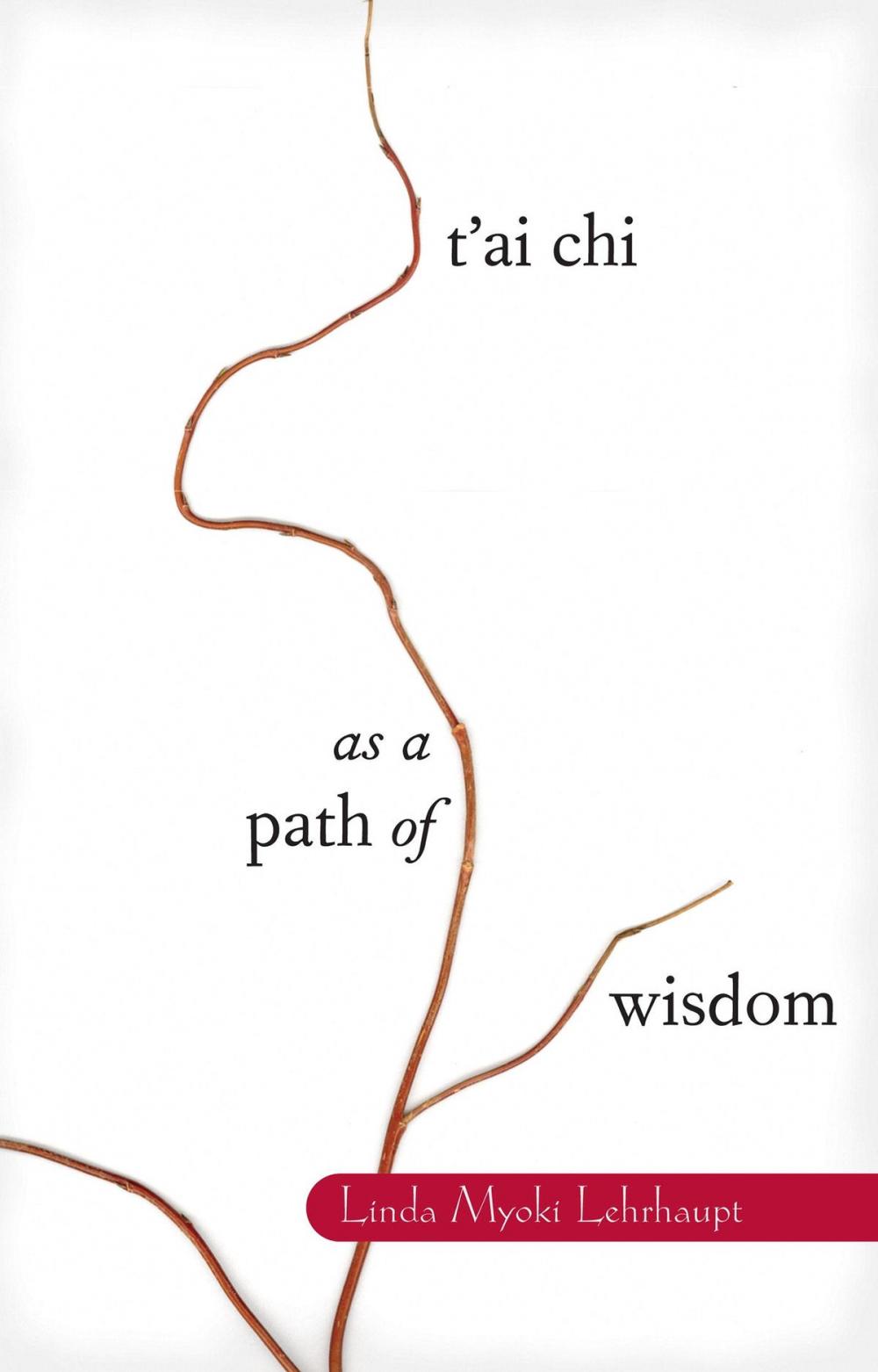 Big bigCover of T'ai Chi as a Path of Wisdom