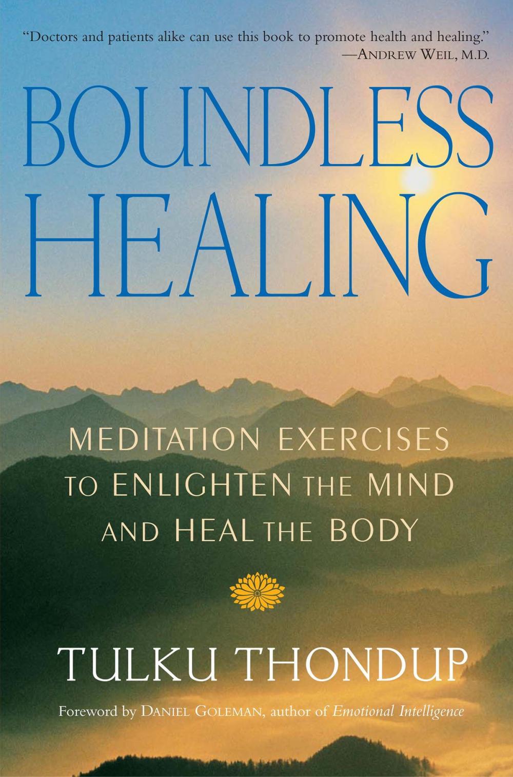 Big bigCover of Boundless Healing