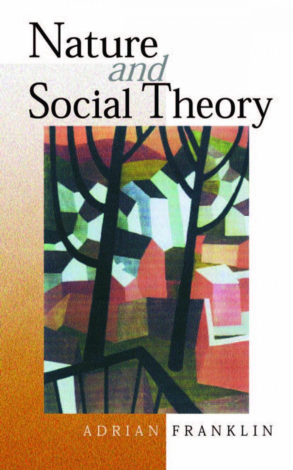 Big bigCover of Nature and Social Theory