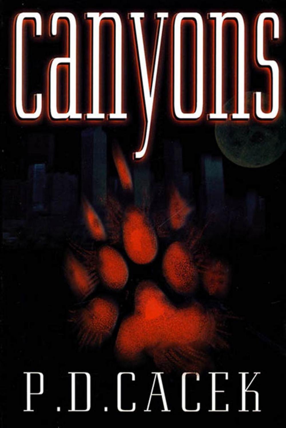 Big bigCover of Canyons