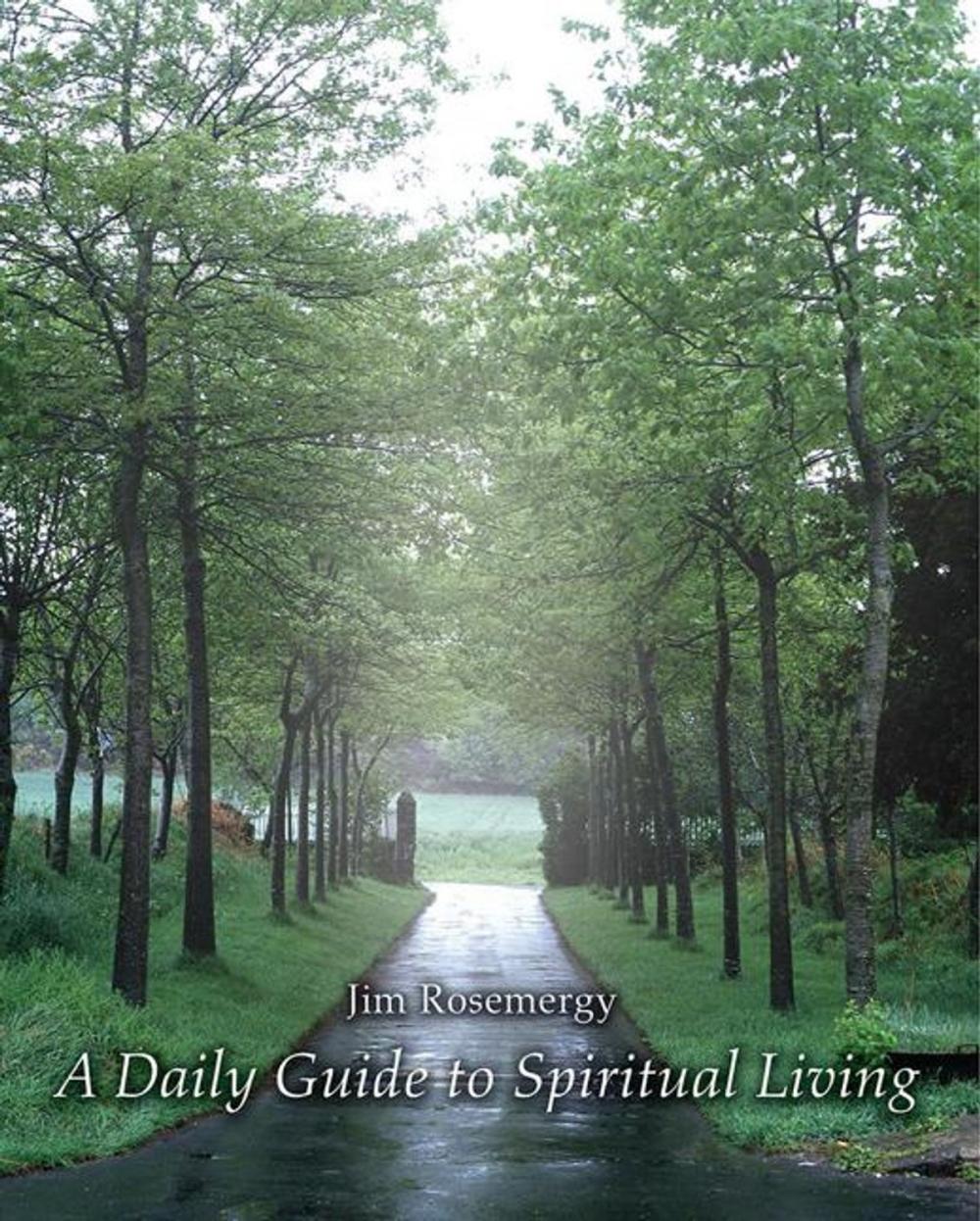 Big bigCover of A Daily Guide to Spiritual Living