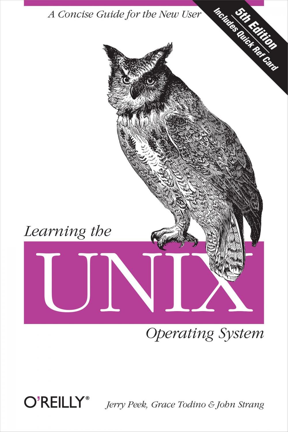 Big bigCover of Learning the Unix Operating System