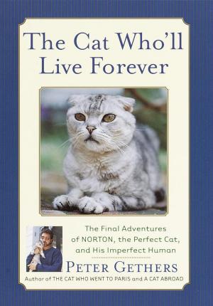 Book cover of The Cat Who'll Live Forever