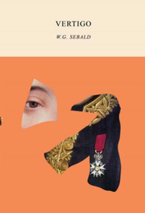 Cover of the book Vertigo by Clarice Lispector
