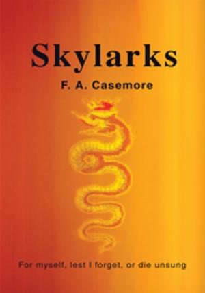Cover of the book Skylarks by Arnold Obomanu.