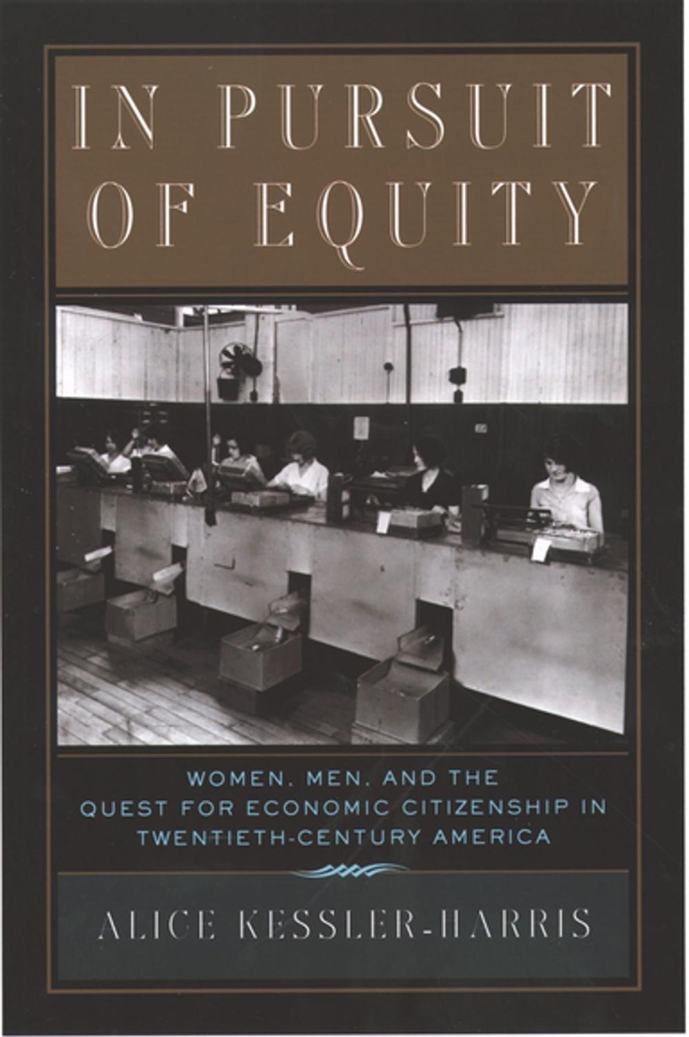 Big bigCover of In Pursuit of Equity