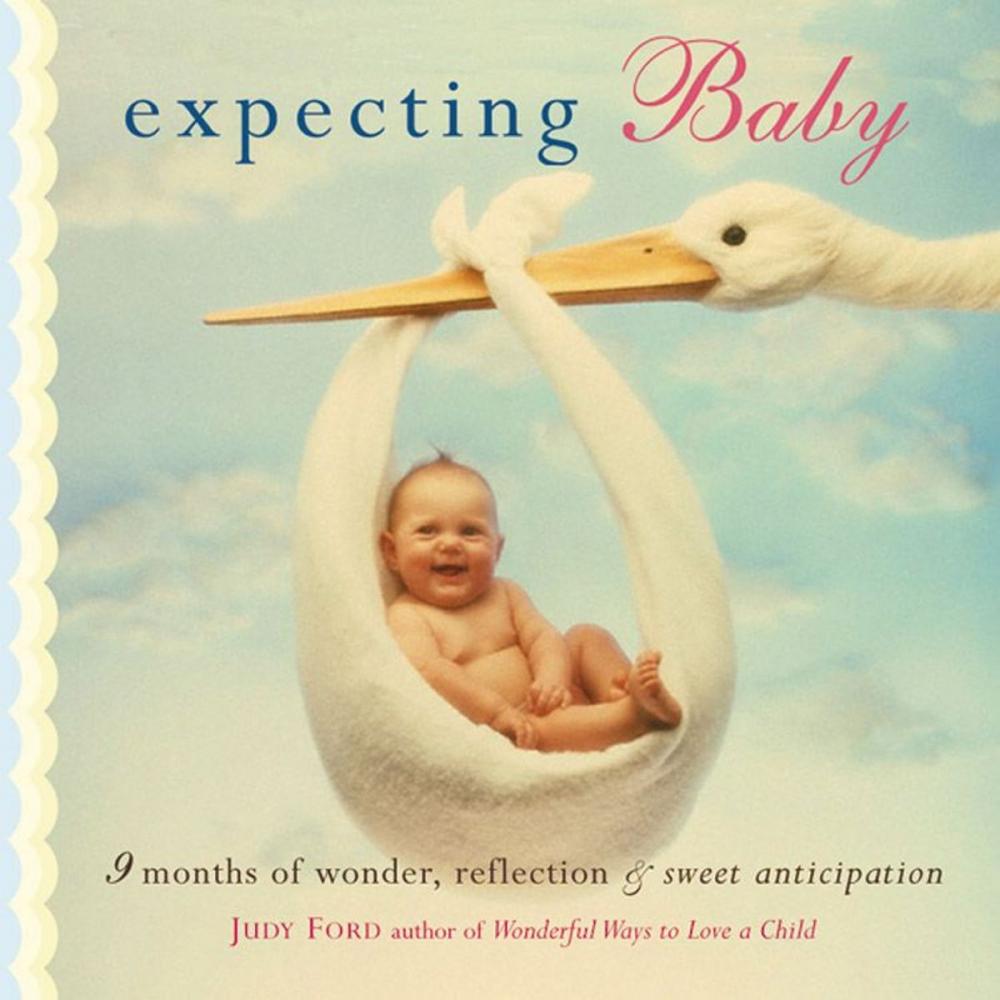 Big bigCover of Expecting Baby: Nine Months of Wonder Reflection and Sweet Anticipation