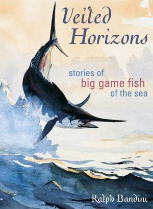 Cover of the book Veiled Horizons by Steve Graham