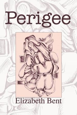 Cover of the book Perigee by Anne Hart