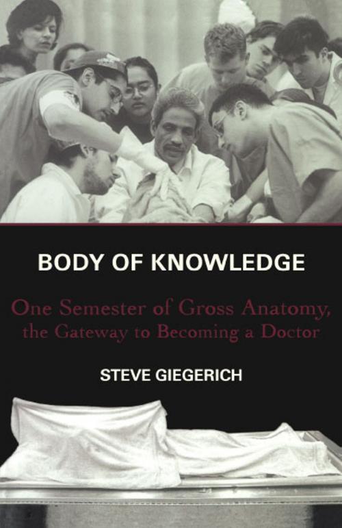 Cover of the book Body of Knowledge by Steven Giegerich, Scribner