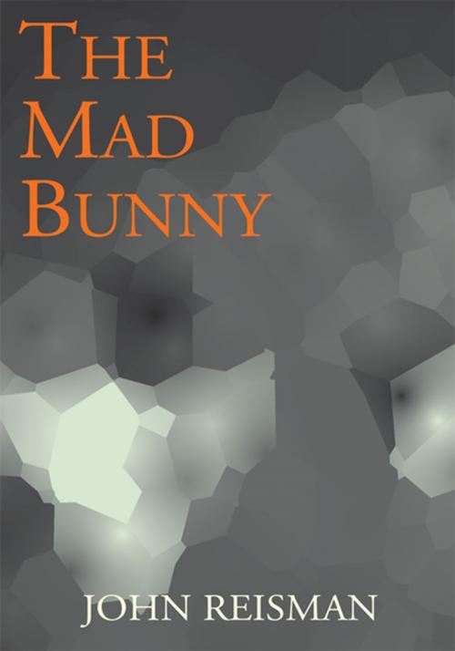 Cover of the book The Mad Bunny by John Reisman, Xlibris US