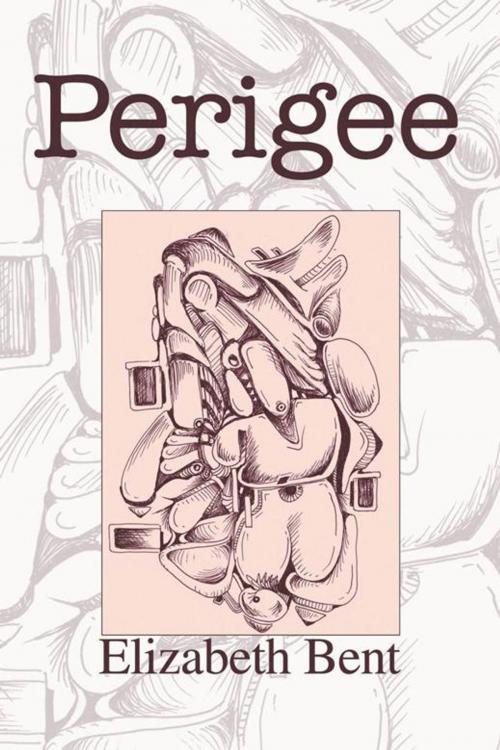 Cover of the book Perigee by Elizabeth Bent, iUniverse