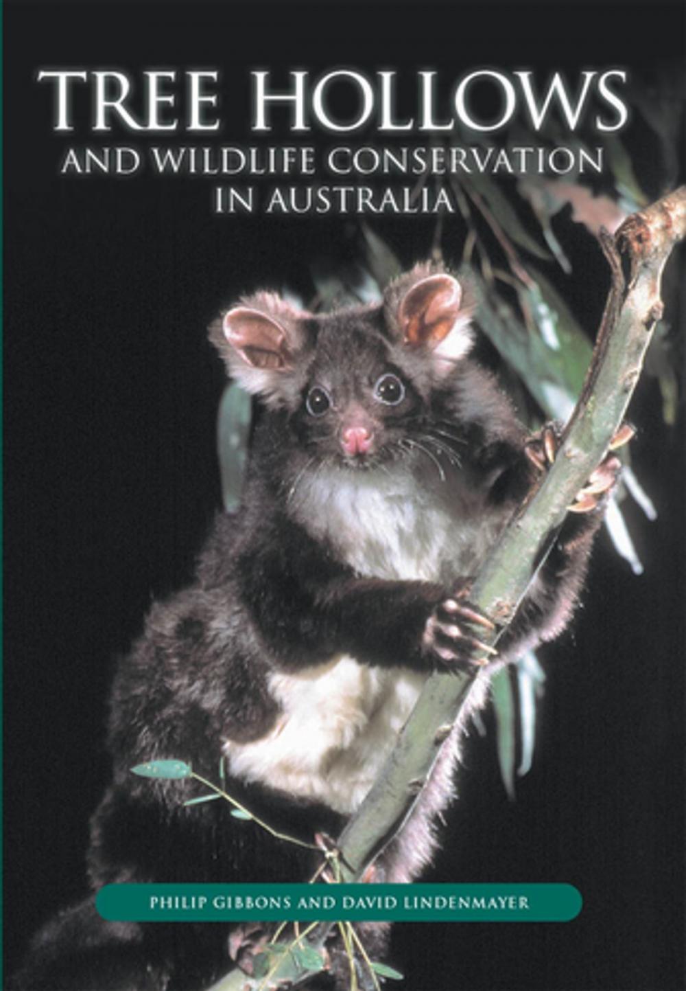 Big bigCover of Tree Hollows and Wildlife Conservation in Australia