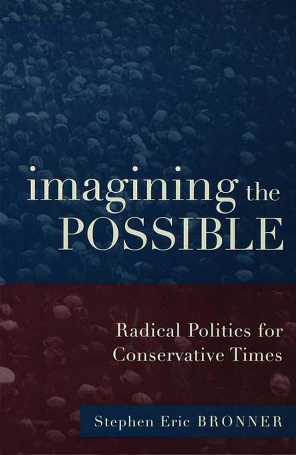 Big bigCover of Imagining the Possible