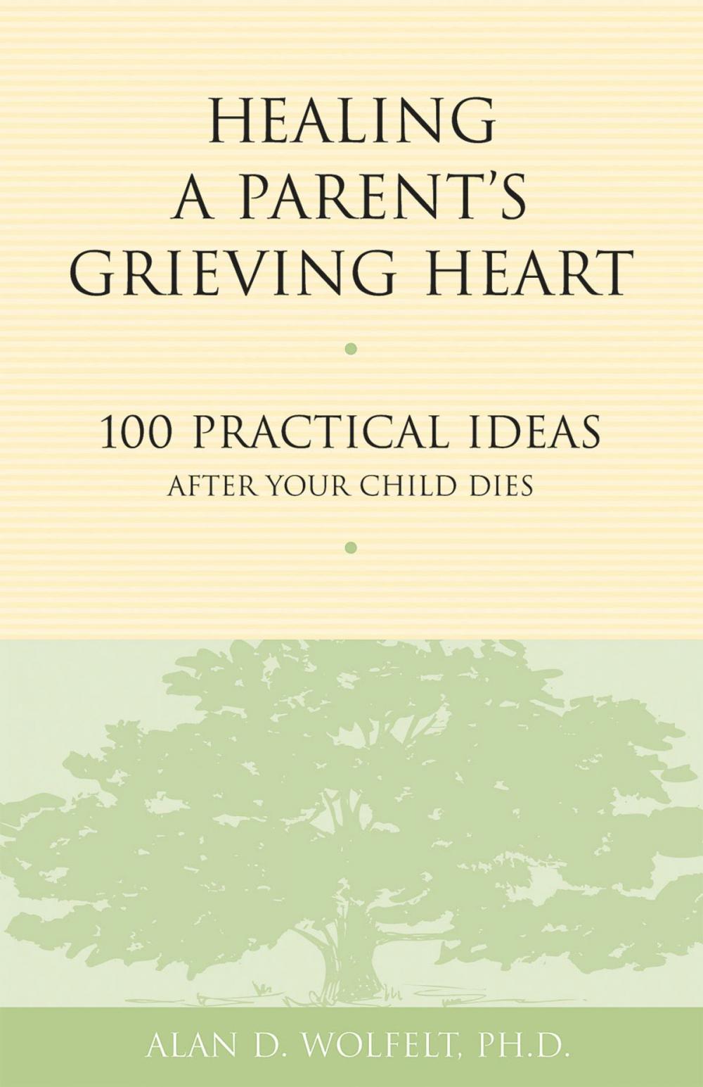 Big bigCover of Healing a Parent's Grieving Heart