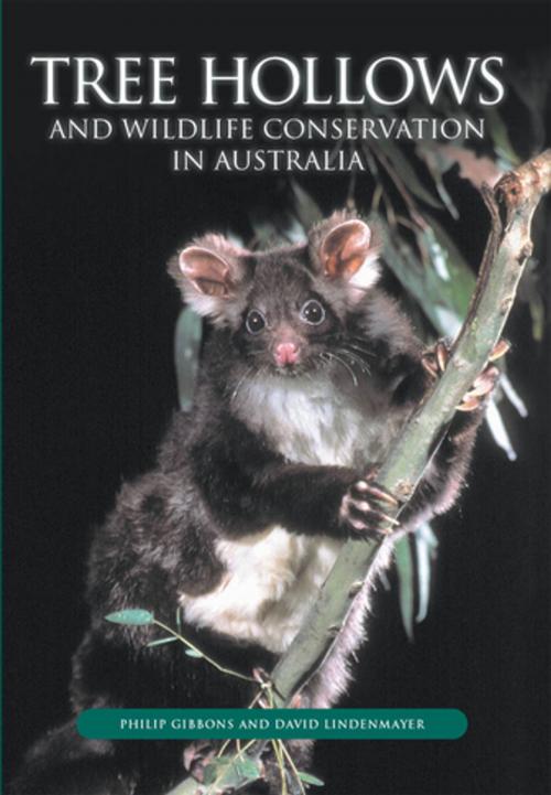 Cover of the book Tree Hollows and Wildlife Conservation in Australia by Philip Gibbons, David Lindenmayer, CSIRO PUBLISHING