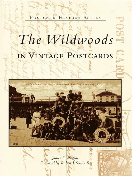 Cover of the book The Wildwoods in Vintage Postcards by James D. Ristine, Arcadia Publishing Inc.