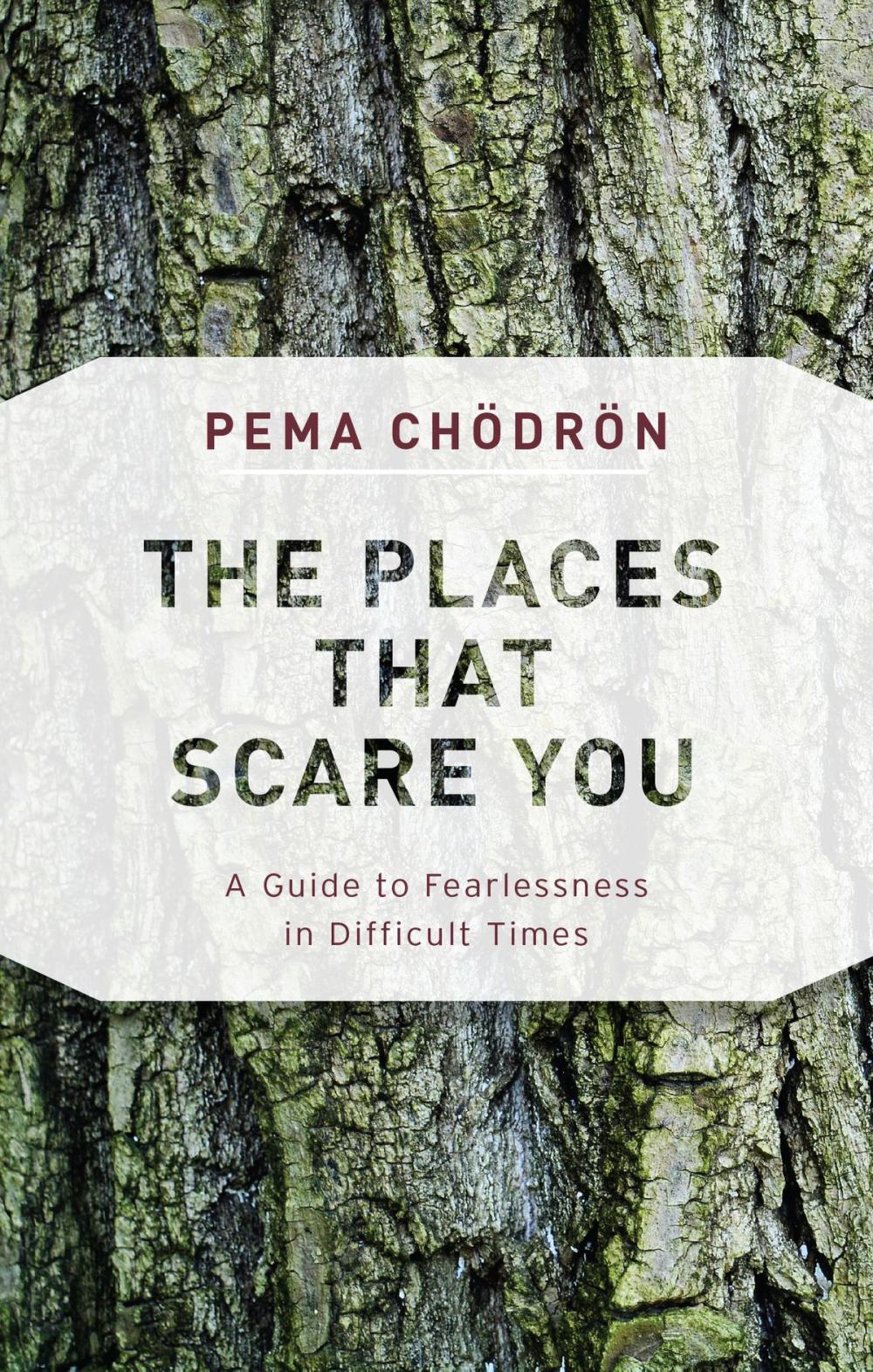 Big bigCover of The Places That Scare You