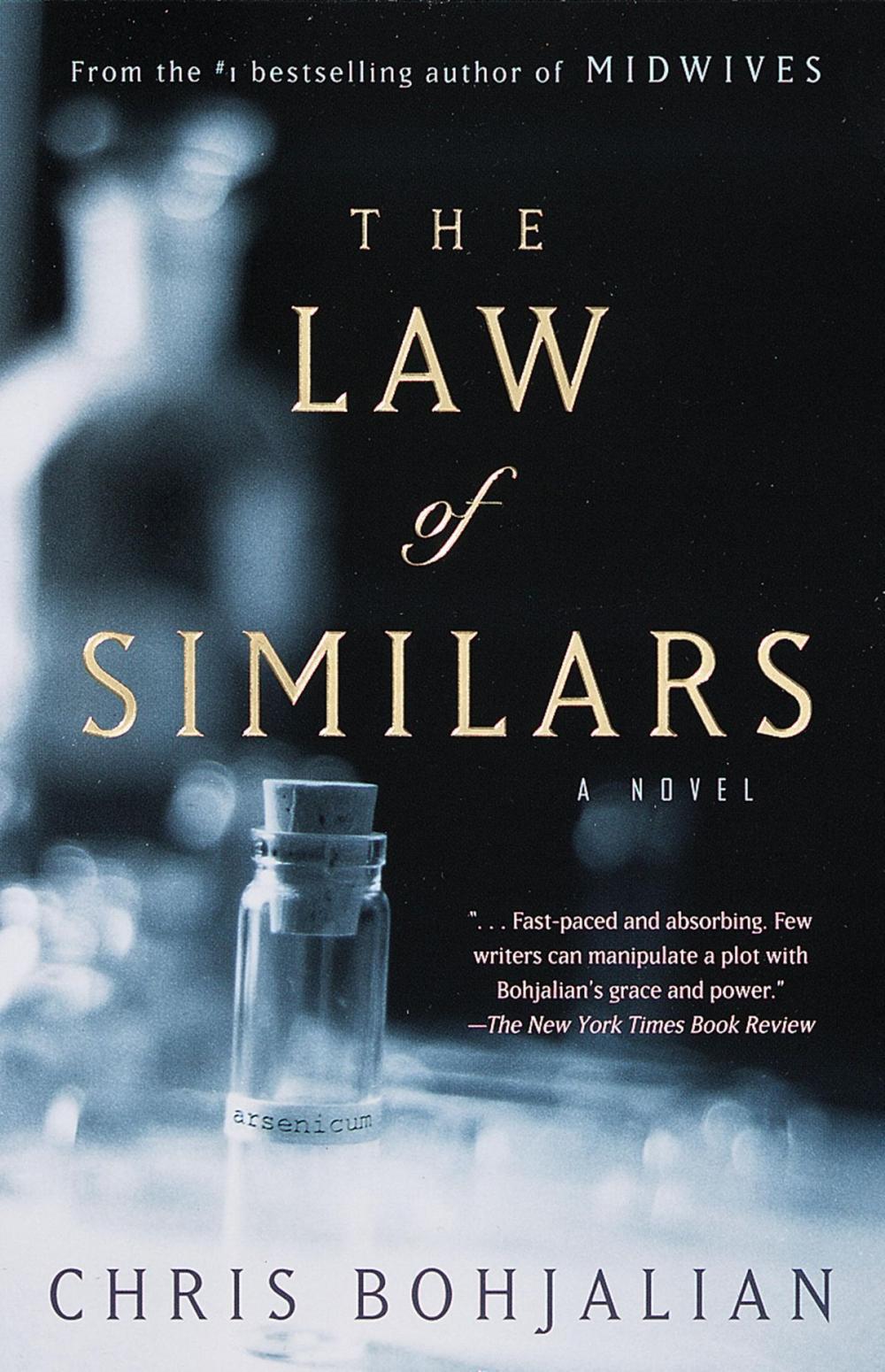 Big bigCover of The Law of Similars