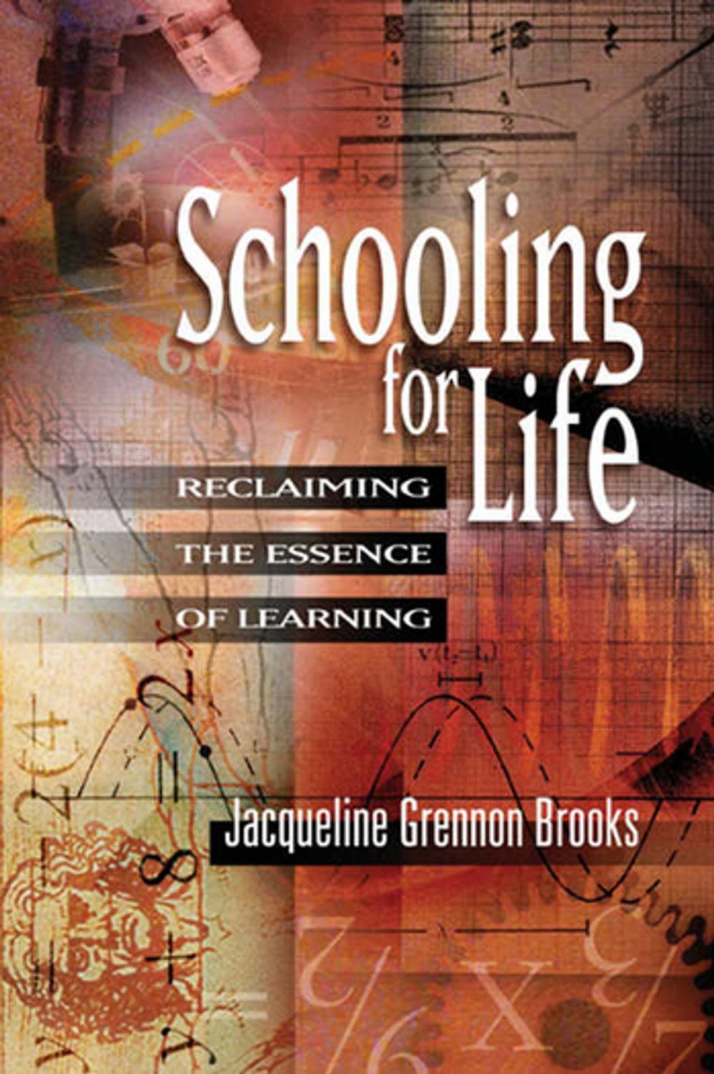 Big bigCover of Schooling for Life