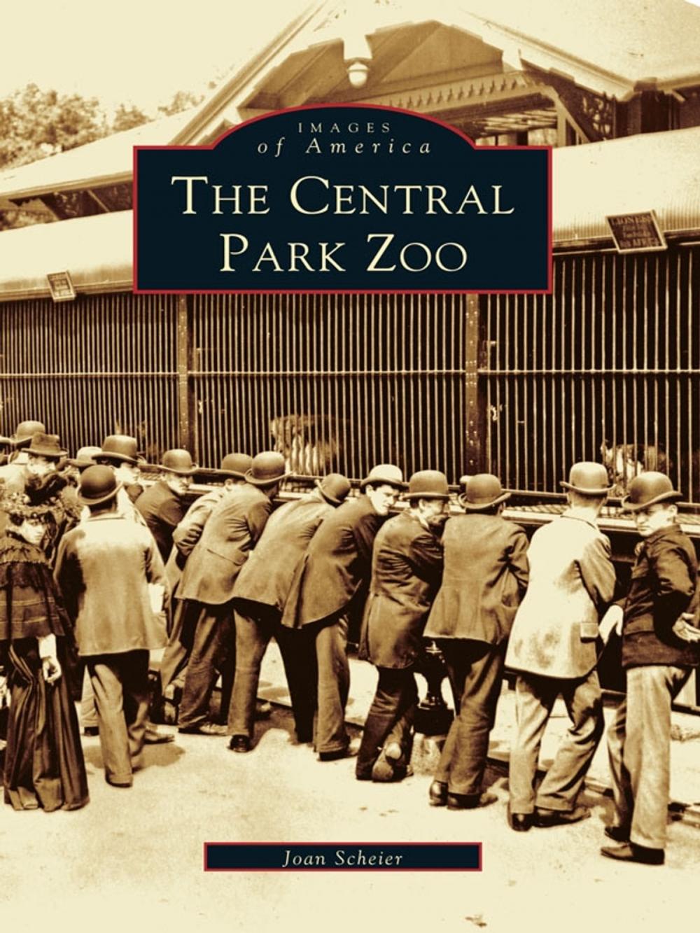 Big bigCover of The Central Park Zoo