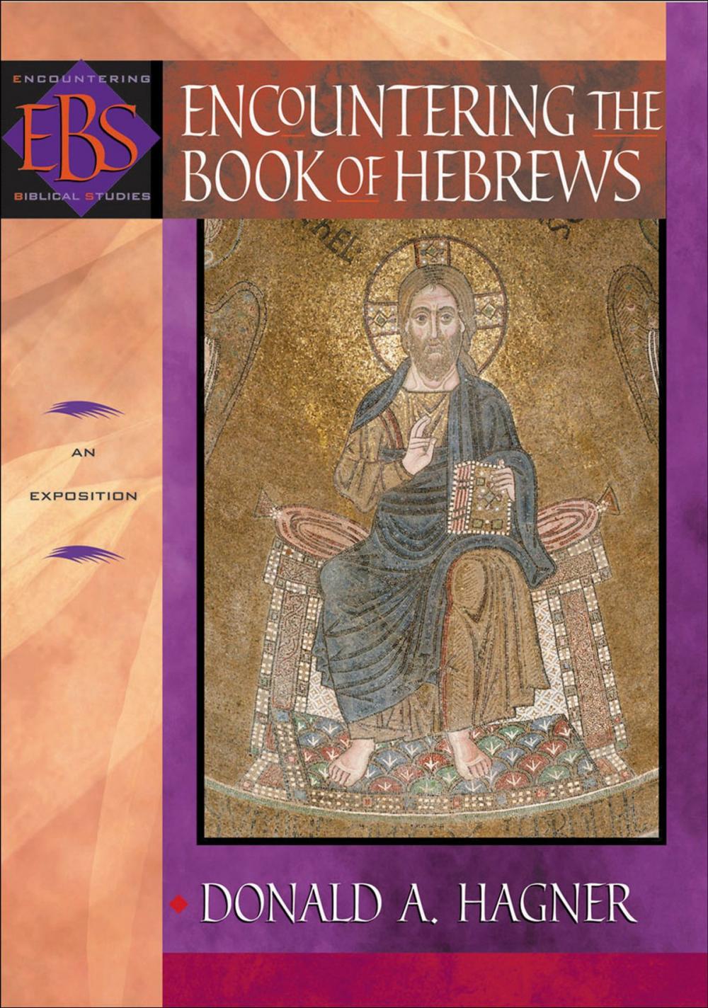 Big bigCover of Encountering the Book of Hebrews (Encountering Biblical Studies)