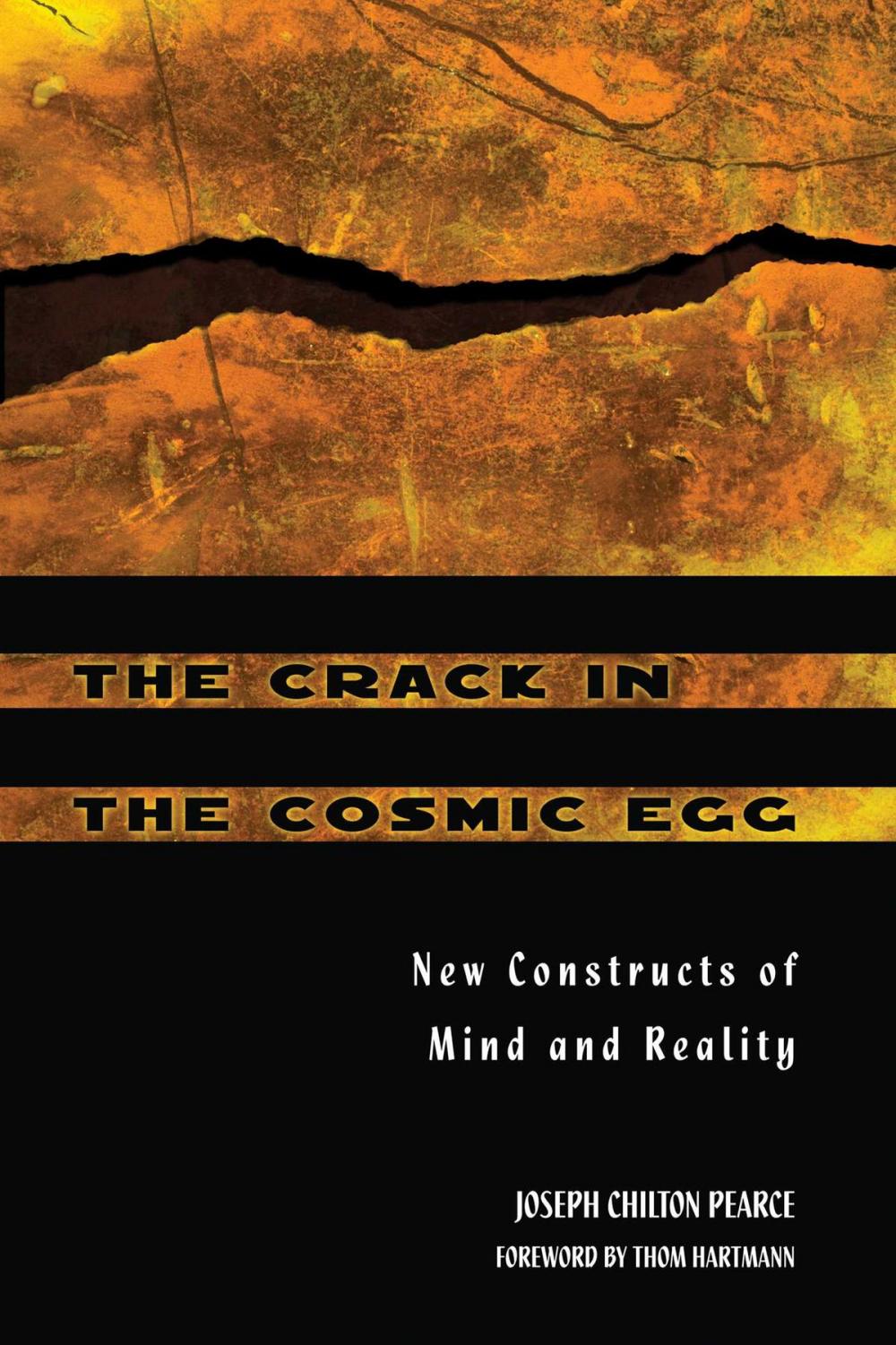 Big bigCover of The Crack in the Cosmic Egg