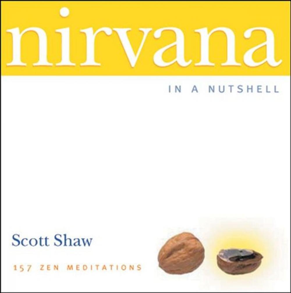 Big bigCover of Nirvana in a Nutshell: 157 Zen Meditations