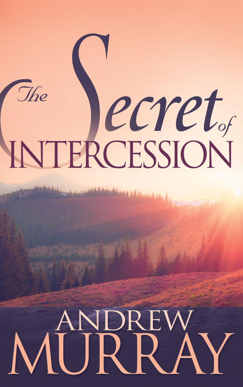 Big bigCover of The Secret of Intercession