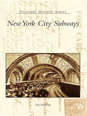Cover of the book New York City Subways by Dennis Webster, Bernadette Peck
