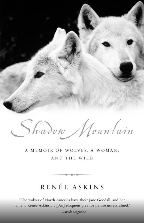 Cover of the book Shadow Mountain by Renee Askins, Knopf Doubleday Publishing Group