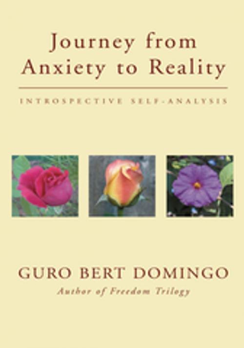 Cover of the book Journey from Anxiety to Reality by Guro Bert Domingo, Xlibris US