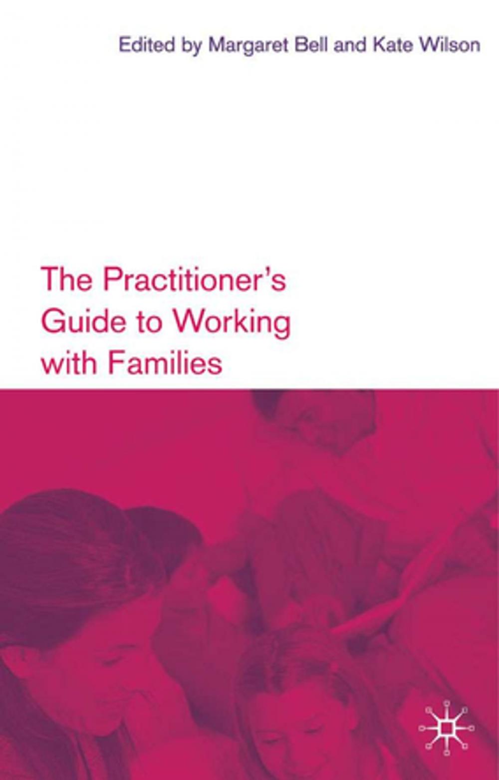 Big bigCover of The Practitioner's Guide to Working with Families