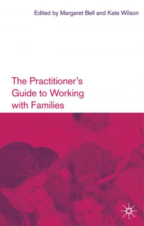 Cover of the book The Practitioner's Guide to Working with Families by , Palgrave Macmillan