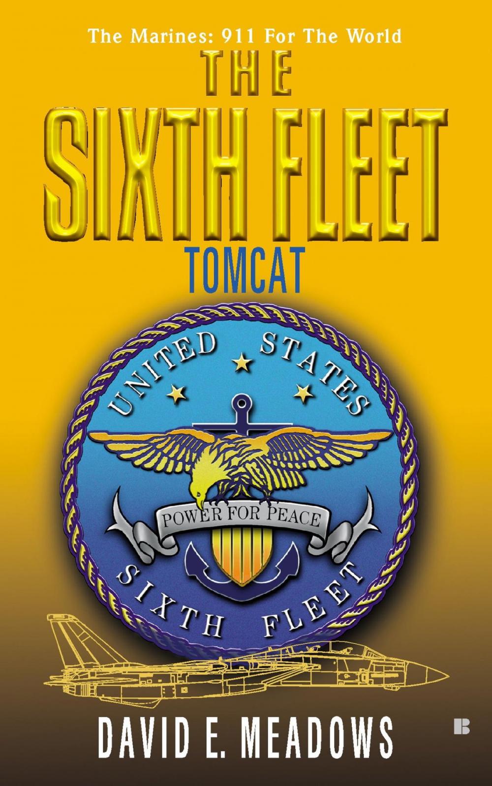 Big bigCover of The Sixth Fleet: Tomcat