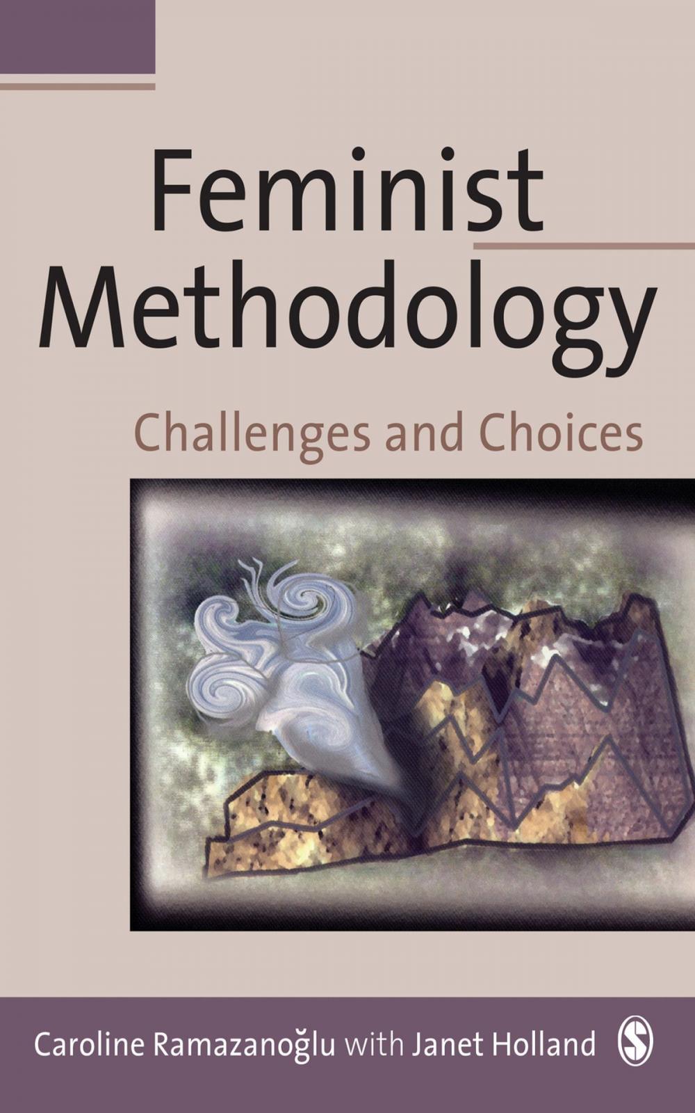 Big bigCover of Feminist Methodology