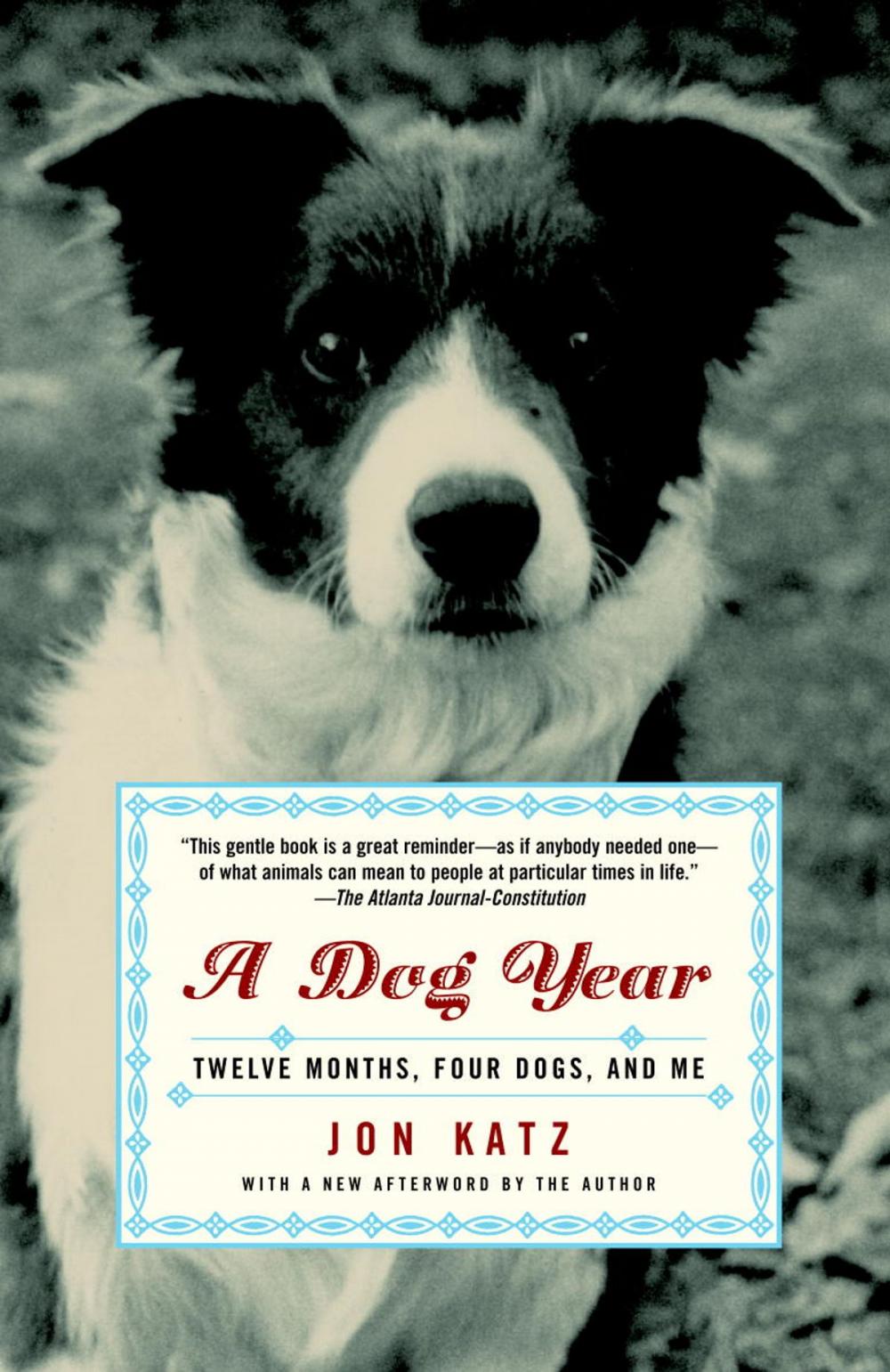 Big bigCover of A Dog Year