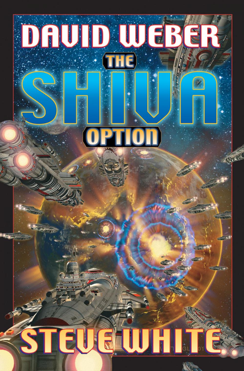 Big bigCover of The Shiva Option