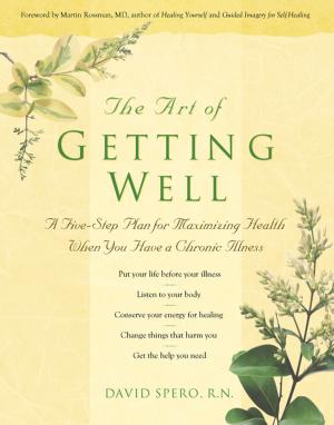 Cover of the book The Art of Getting Well by Rabbi Kerry M. Olitzky, Aaron Z., The JACS Foundation